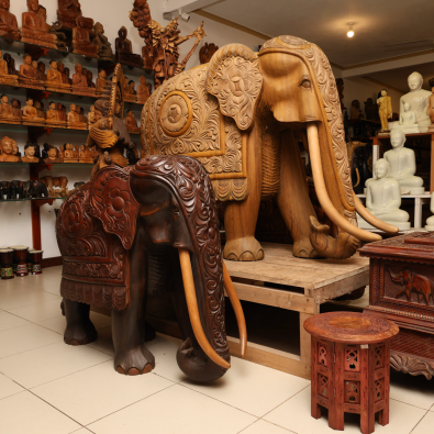 Sri Lankan Elephant